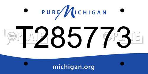 T285773 Michigan License Plate