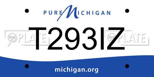 T293IZ Michigan License Plate