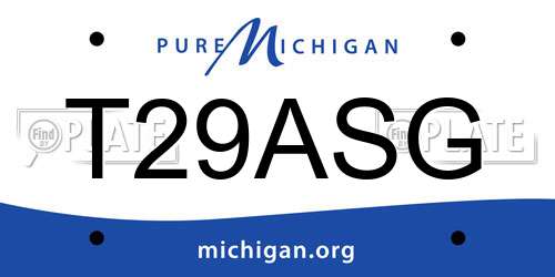 T29ASG Michigan License Plate