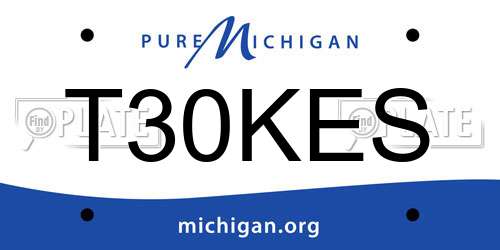T30KES Michigan License Plate