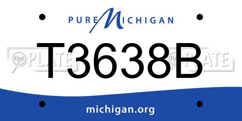 T3638B Michigan License Plate