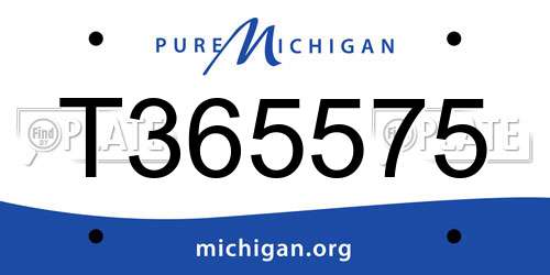T365575 Michigan License Plate