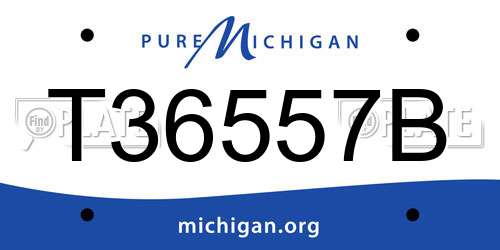 T36557B Michigan License Plate