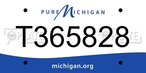 T365828 Michigan License Plate