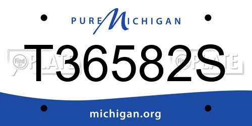 T36582S Michigan License Plate