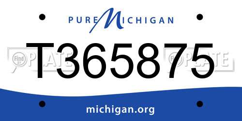 T365875 Michigan License Plate