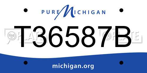 T36587B Michigan License Plate