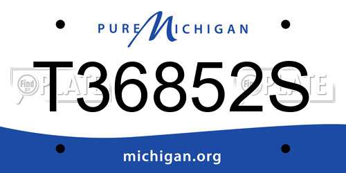 T36852S Michigan License Plate