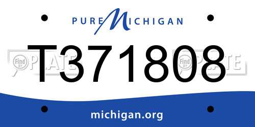 T371808 Michigan License Plate