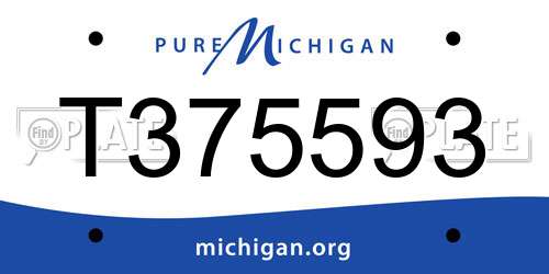 T375593 Michigan License Plate