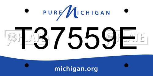 T37559E Michigan License Plate