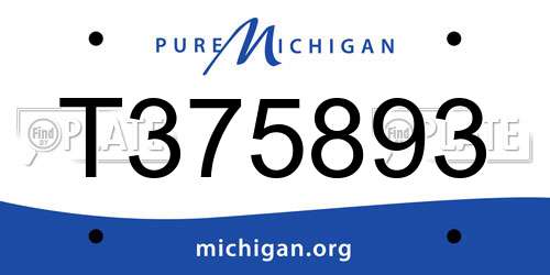 T375893 Michigan License Plate