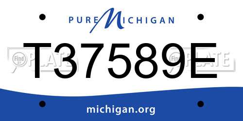 T37589E Michigan License Plate