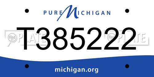 T385222 Michigan License Plate