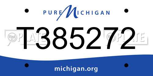 T385272 Michigan License Plate
