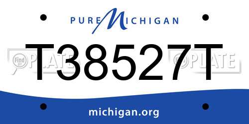 T38527T Michigan License Plate