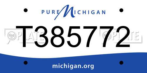 T385772 Michigan License Plate