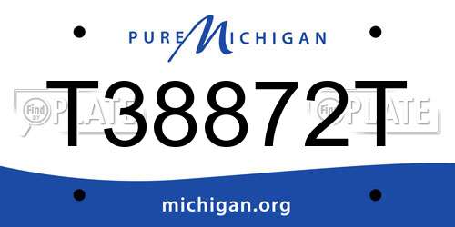 T38872T Michigan License Plate