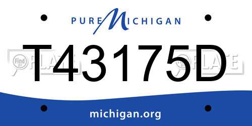 T43175D Michigan License Plate