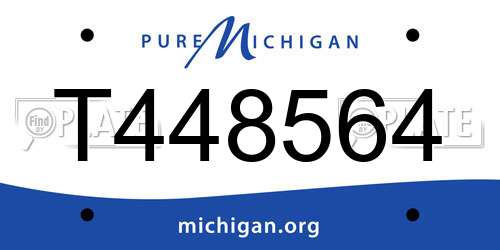 T448564 Michigan License Plate