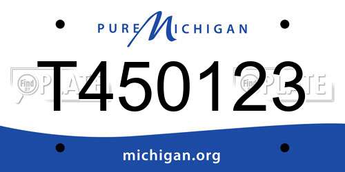 T450123 Michigan License Plate