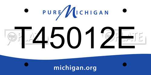 T45012E Michigan License Plate