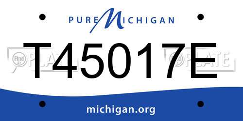 T45017E Michigan License Plate