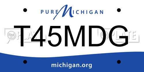T45MDG Michigan License Plate