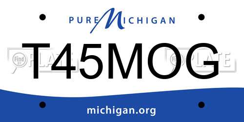 T45MOG Michigan License Plate