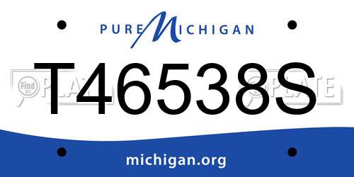 T46538S Michigan License Plate