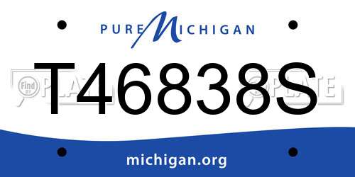 T46838S Michigan License Plate