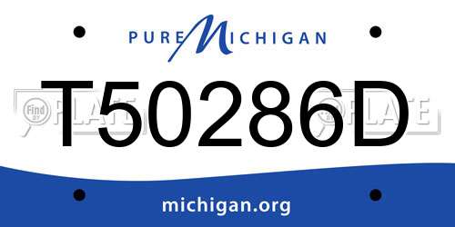 T50286D Michigan License Plate
