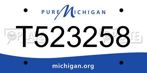 T523258 Michigan License Plate