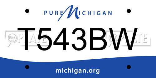 T543BW Michigan License Plate