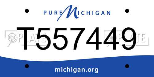 T557449 Michigan License Plate