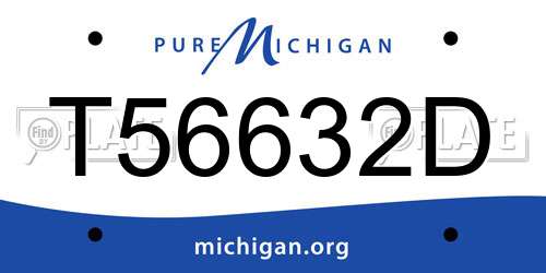 T56632D Michigan License Plate