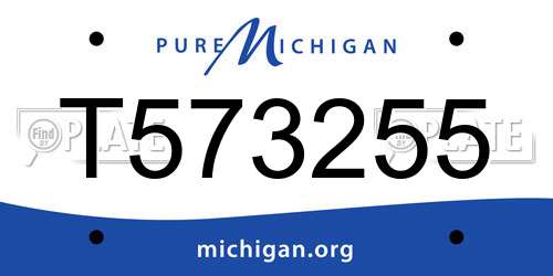 T573255 Michigan License Plate