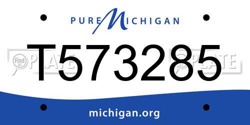 T573285 Michigan License Plate