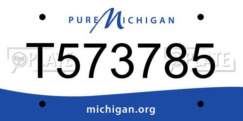 T573785 Michigan License Plate