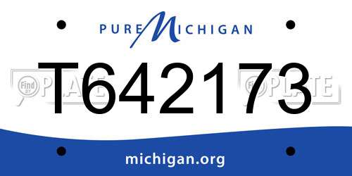 T642173 Michigan License Plate