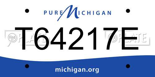 T64217E Michigan License Plate