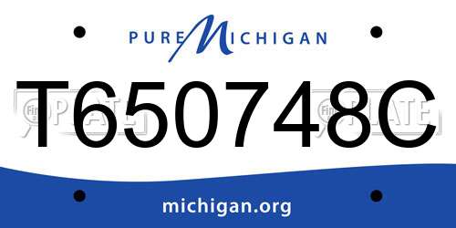 T650748C Michigan License Plate
