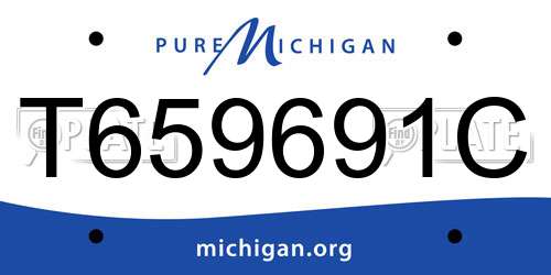 T659691C Michigan License Plate