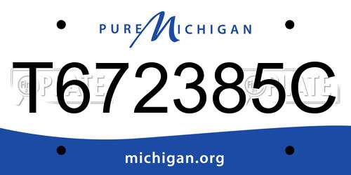 T672385C Michigan License Plate