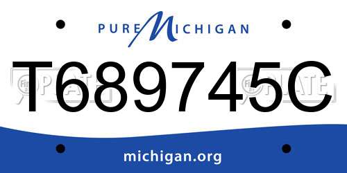 T689745C Michigan License Plate