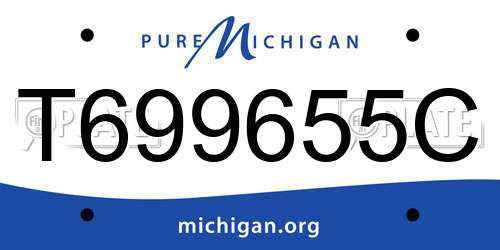 T699655C Michigan License Plate