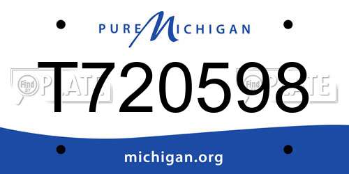 T720598 Michigan License Plate