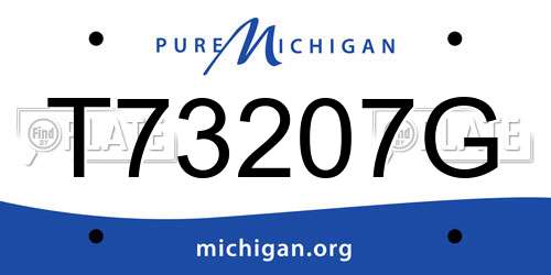 T73207G Michigan License Plate