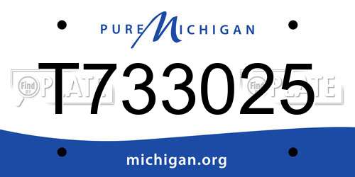 T733025 Michigan License Plate