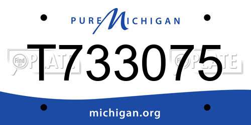 T733075 Michigan License Plate